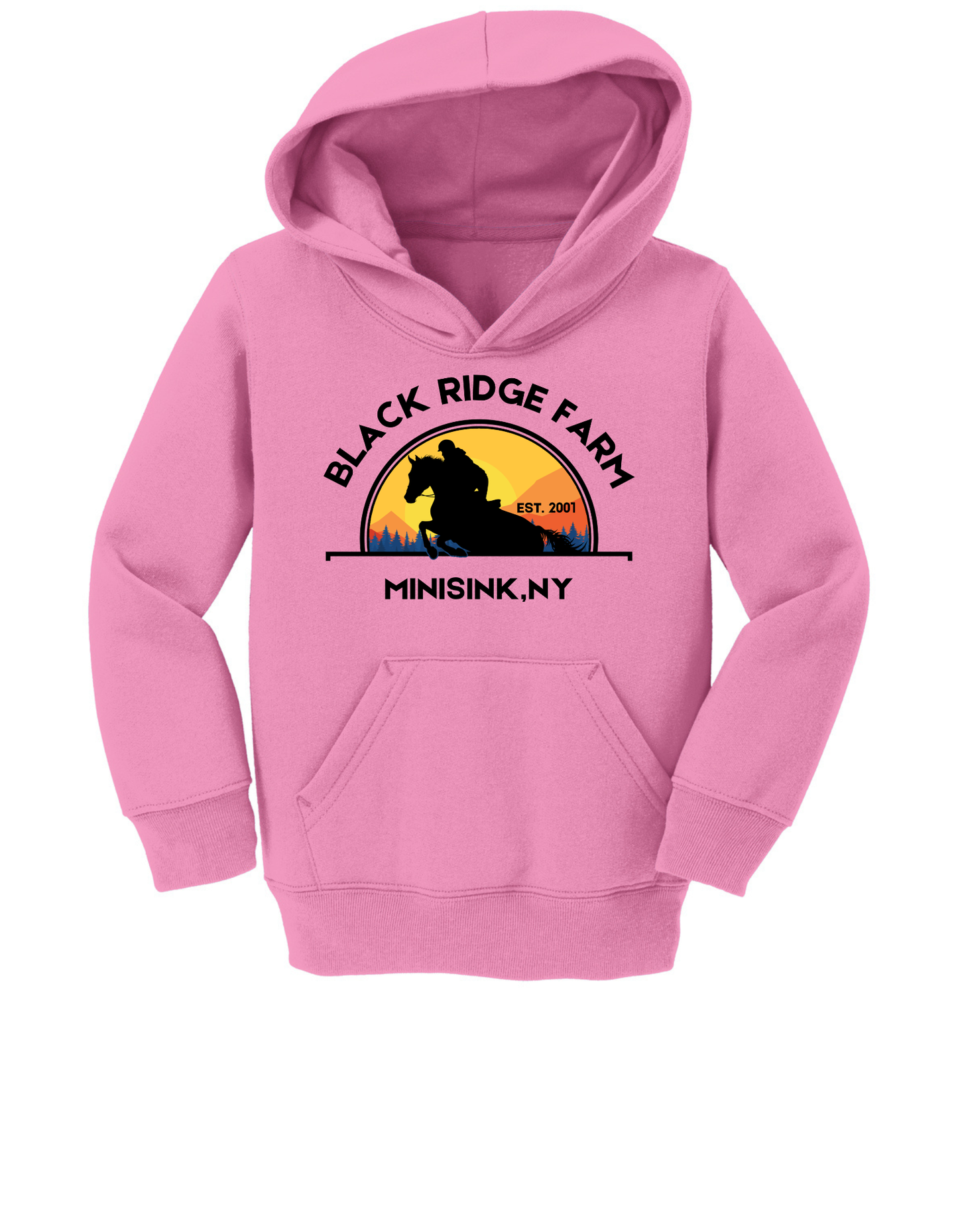 BRF Toddler Hoodie
